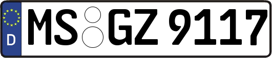 MS-GZ9117