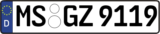 MS-GZ9119