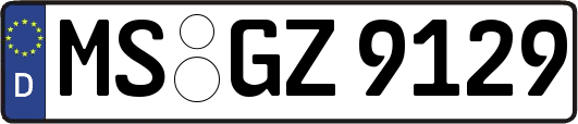 MS-GZ9129