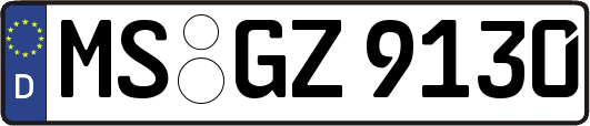 MS-GZ9130
