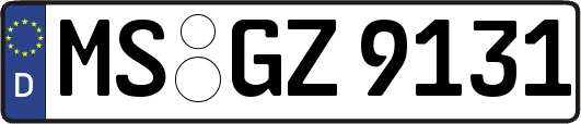 MS-GZ9131