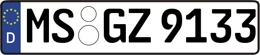MS-GZ9133