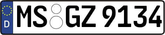 MS-GZ9134