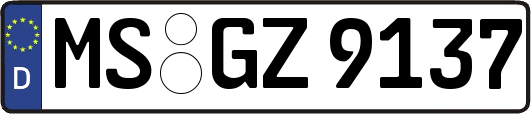 MS-GZ9137