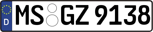 MS-GZ9138