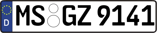 MS-GZ9141