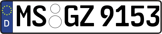 MS-GZ9153