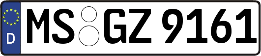 MS-GZ9161