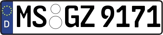 MS-GZ9171