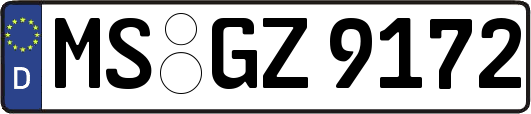 MS-GZ9172