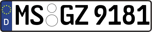 MS-GZ9181
