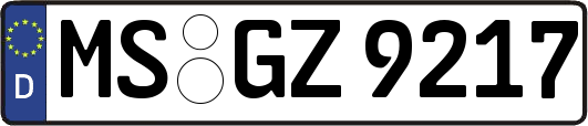 MS-GZ9217
