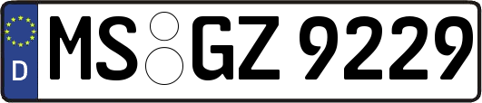 MS-GZ9229