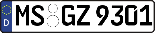 MS-GZ9301