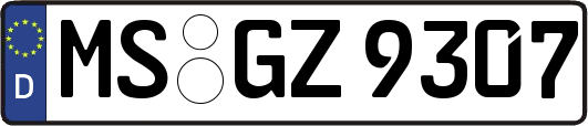 MS-GZ9307