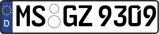MS-GZ9309