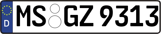 MS-GZ9313
