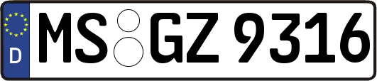 MS-GZ9316