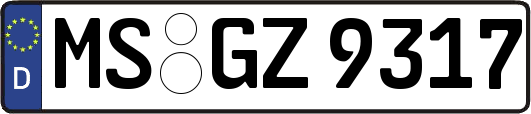MS-GZ9317