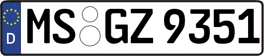 MS-GZ9351