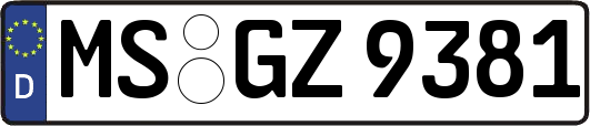 MS-GZ9381