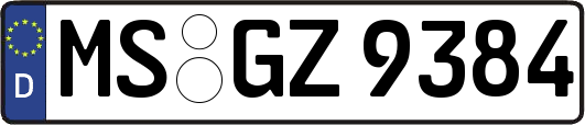 MS-GZ9384