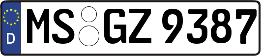 MS-GZ9387