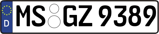 MS-GZ9389