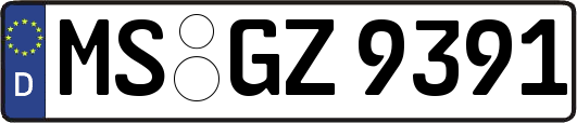 MS-GZ9391