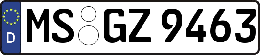 MS-GZ9463
