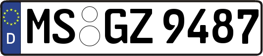 MS-GZ9487