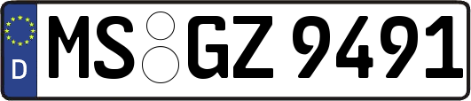 MS-GZ9491