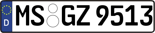 MS-GZ9513