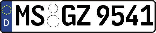 MS-GZ9541