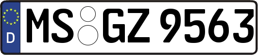MS-GZ9563