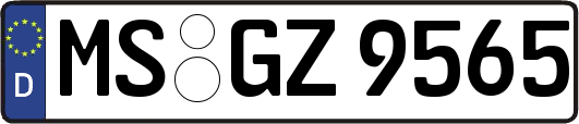 MS-GZ9565