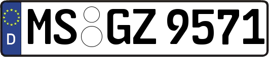 MS-GZ9571