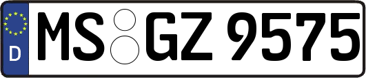 MS-GZ9575