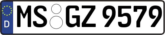 MS-GZ9579