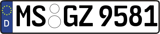 MS-GZ9581