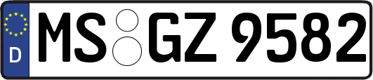 MS-GZ9582
