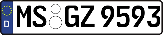 MS-GZ9593
