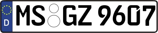 MS-GZ9607