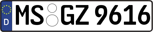 MS-GZ9616