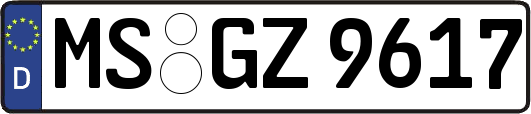 MS-GZ9617