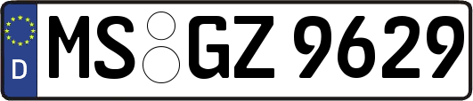 MS-GZ9629