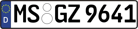 MS-GZ9641