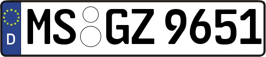 MS-GZ9651