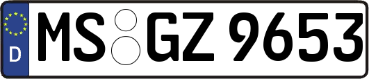 MS-GZ9653