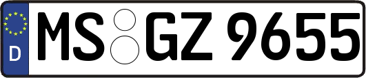 MS-GZ9655